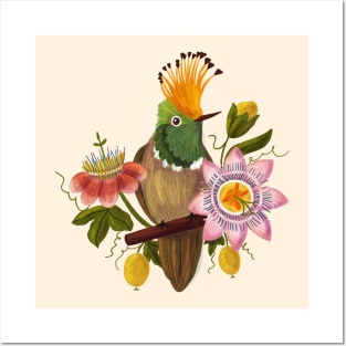 Rufous-crested coquette Posters and Art